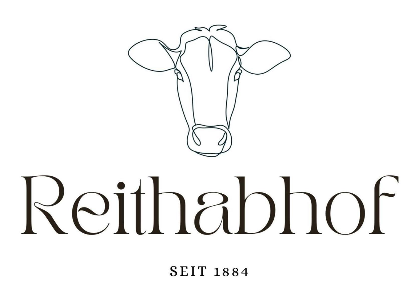 Reithabhof Apartments 斯拉德明 外观 照片
